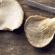 В каких случаях стоит мыть грибы, а когда достаточно сухой чистки — особенности обработки грибного урожая Грибы вешенки как готовить они чистятся
